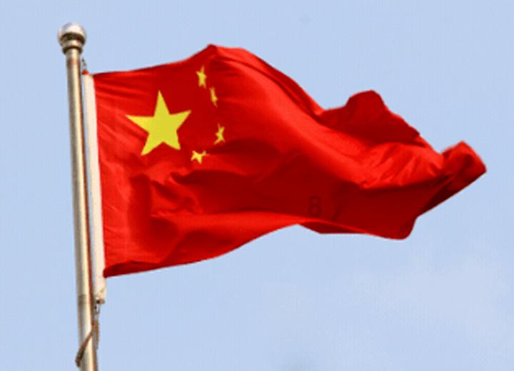 植物大战僵尸5